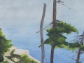 Tenace-30X15c